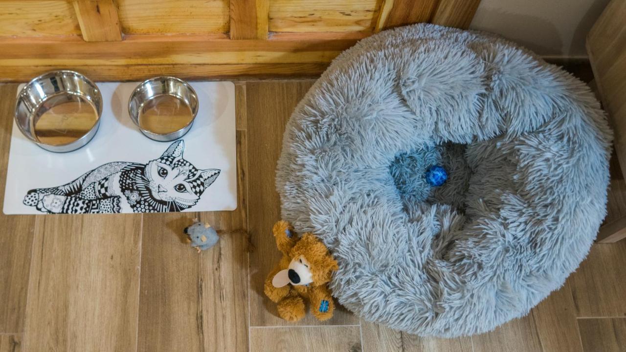 Apartamento Ruh Sara By Toledo Ap Extérieur photo